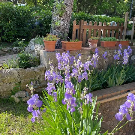 Bed & Breakfast Lilia By Let 4*