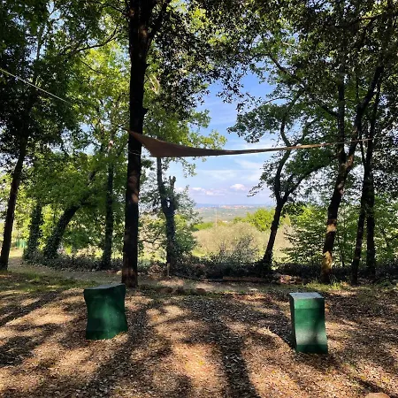 Lilia By Let Bed & Breakfast Siena