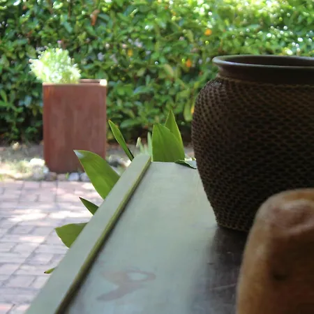 Lilia By Let Bed & Breakfast Siena