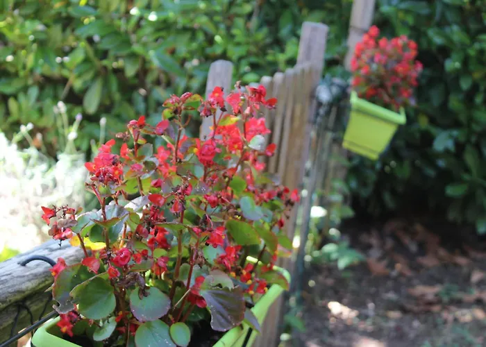 Lilia By Let Отель типа 